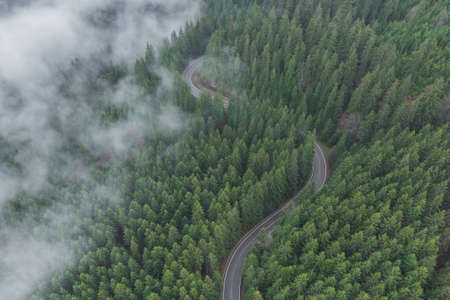 Aerial view of the mountain road in the beautiful forest in springtime. Top view of the winding road cutting through the green woodsの写真素材