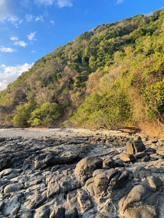 Rocky beach with green forest and blue sky background, Thailand.
