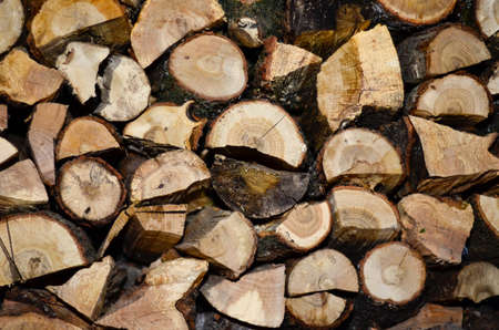 woodの写真素材