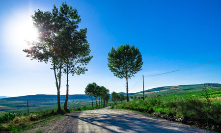 Rural road made of rock over green hills and farm land at sunsetの写真素材