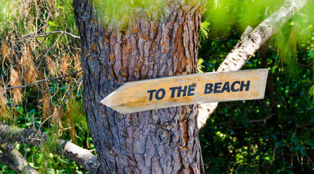 To the beach sign on a tropical treeの写真素材