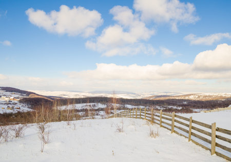 Rural winter view of hills and mountains with trees and a forest on the horizxon on a cold snowy sunny day with a blue skyの写真素材