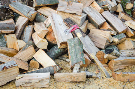 Chopped woodの写真素材