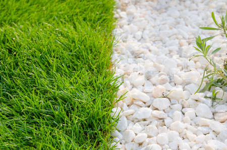 Detail of grass versus vs stone floor pattern in an urban area on a sunny day with a fresh lookの写真素材