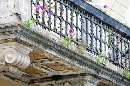 Flowers growing ou of an old abandoned degraded baroque balcony suggesting the power of life and nature in a historic conceptの写真素材