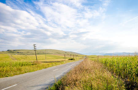 Countryside rural trafficless road passing by farmland fields with corn and other plants on a bright sunny autumn day with a blue cloudy skyの写真素材