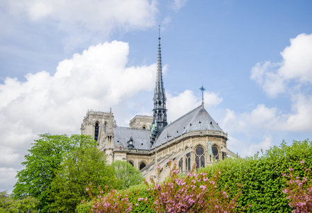 Notre Dame de Paris cathedral view of the east and south facades with beautiful flowers and trees on...