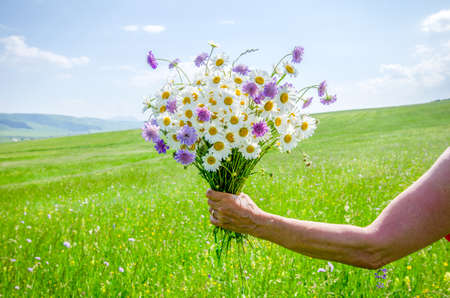 Woman holding a beautiful summer bouquet with wild flowers on a bright warm green field backgroundの写真素材