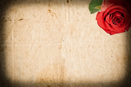 Empty grunge paper with red roseの写真素材