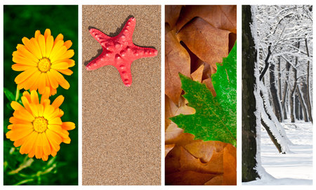 Four seasons collage