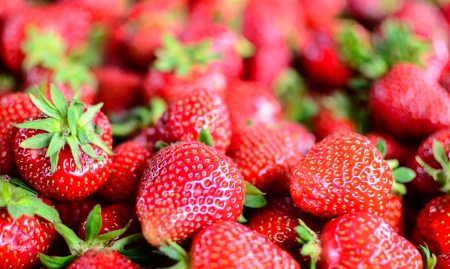 Fresh strawberries close upの写真素材