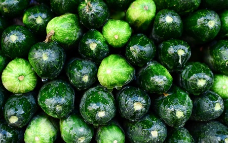 Fresh cucumbers backgroundの写真素材