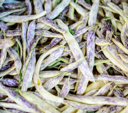 Vegetable beans backroundの写真素材