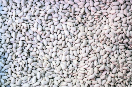 White beans backgroundの写真素材