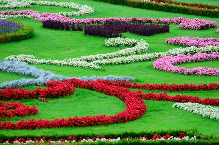 Beautiful flower garden in Schonbrunn palace - Vienna Austriaのeditorial素材