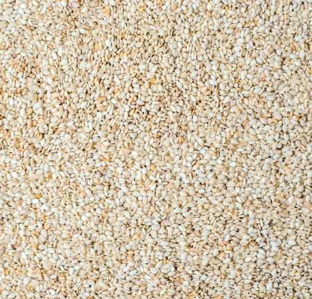 Sesame seeds textureの写真素材