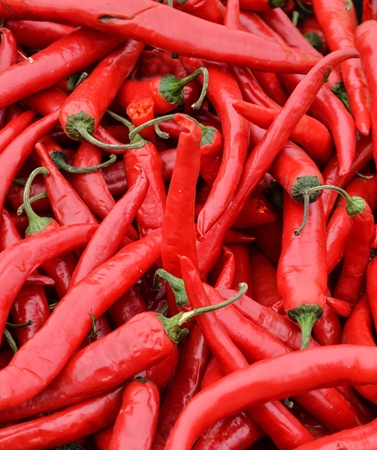 Red chilli peppersの写真素材