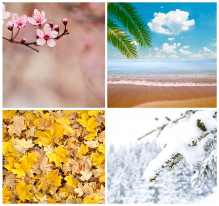 Four season conceptual collageの写真素材