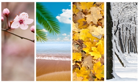 Four seasons collageの写真素材