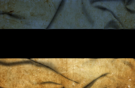 Estonia waving flagの写真素材