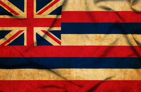 Hawaii waving flagの写真素材