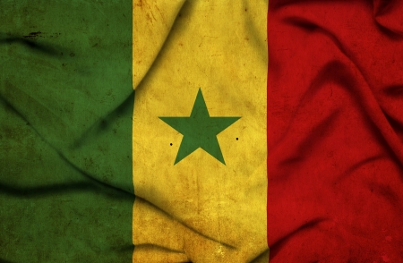 Senegal waving flagの写真素材