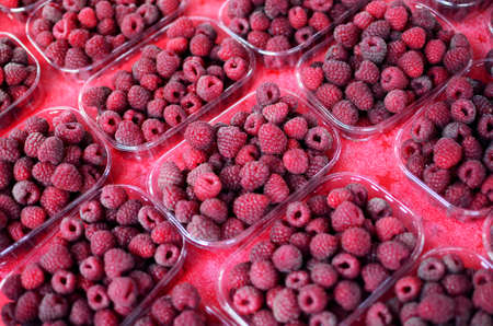 Raspberries in small boxes for sale at marketの写真素材