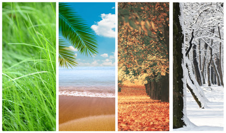 Four seasons collageの写真素材