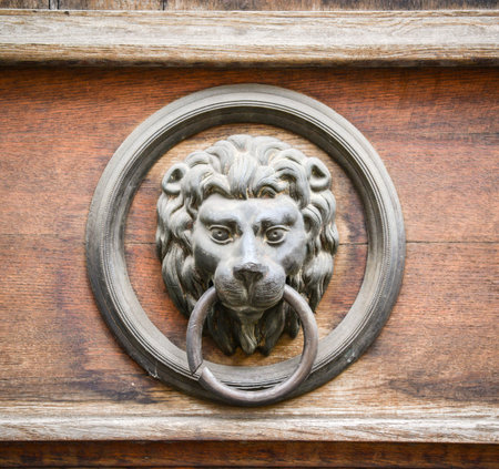 Lion door knocker on wooden door