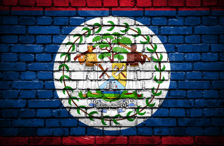 Brick wall with painted flag of Belizeの写真素材