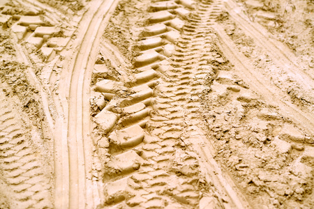 Tracks at golden desertの写真素材