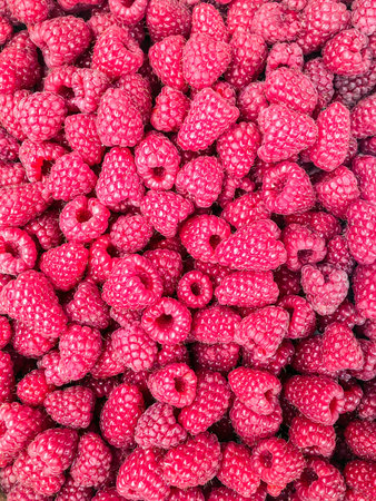 Raspberry fruit background