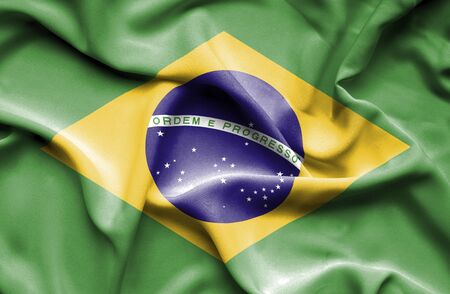 Brazil waving flagの写真素材