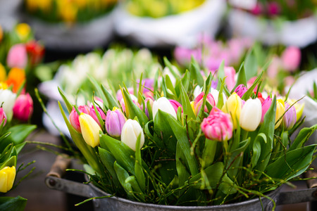 Tulips at flower marketの写真素材