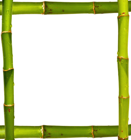 Bamboo frame made of stems isolated on white backgroundの写真素材