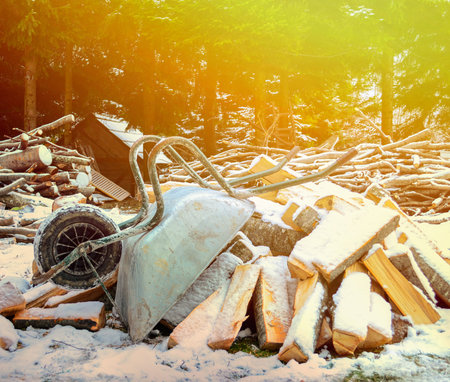 Old wheelbarrow with wood logs aginst forest - Winter time conceptの写真素材