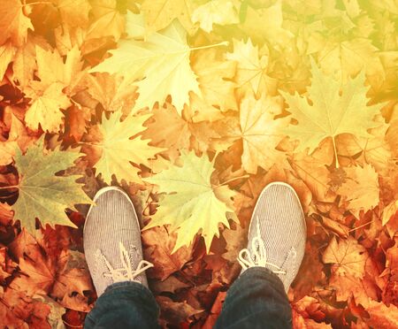 Walking in nature conceptual imageの写真素材