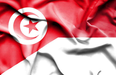 Waving flag of Indonesia and Tunisiaの写真素材