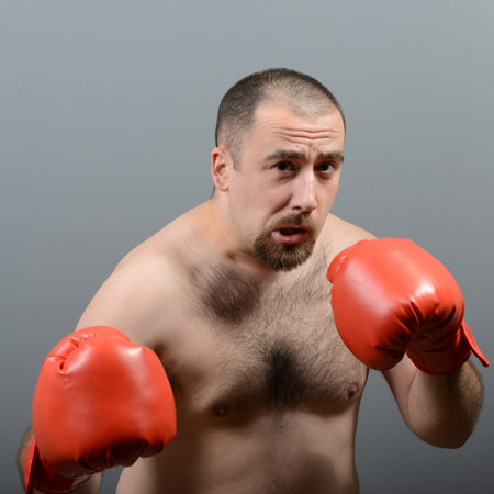 Portrait of funny fat boxer against gray backgroundの写真素材