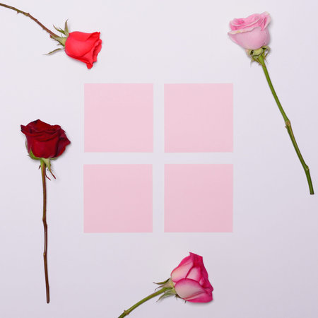 Four roses on white background with blank papersin middle - Trendy minimal flat lay concept