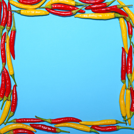 Red and yellow hot chili peppers on blue background in form of frame - Flat layの写真素材
