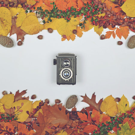 Autumn leaves cones and acorn on white background with vintage camera in center - Flat lay of...