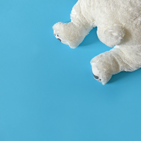 Cute fluffy bear legs peaking from corner on white background - Top viewの写真素材