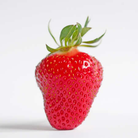 Strawberry macro shotの写真素材