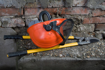 Protective cap with ear protection