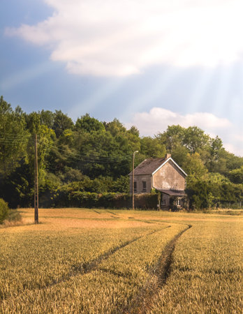 House in the meadow, House in field