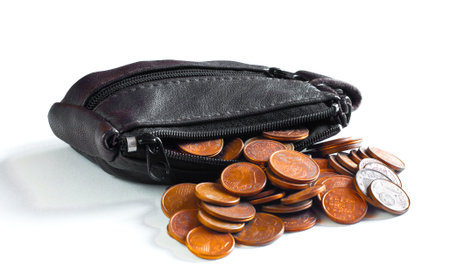 Change purse and coins over white background