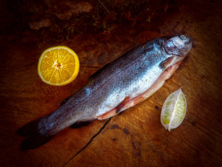 Still life with fish and citrusの写真素材