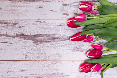 Pink tulips over shabby white wooden table, with space for textの写真素材