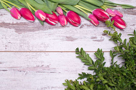 Pink tulips and greenery on shabby white wooden table with space for textの写真素材